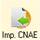 Importar CNAE