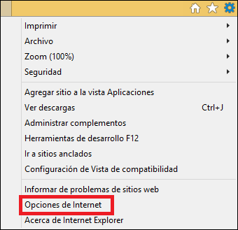 Opciones de internet