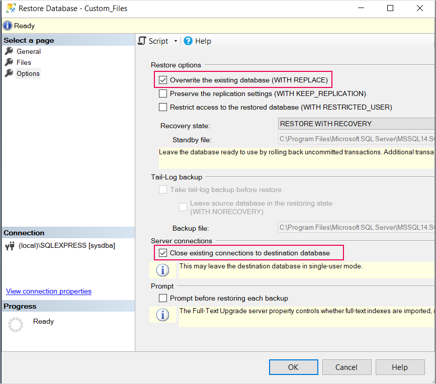 restore database custom files
